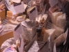 cheeses