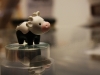 mini cow